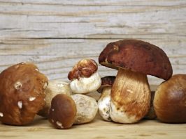 prevenzione cancro alla prostata e funghi